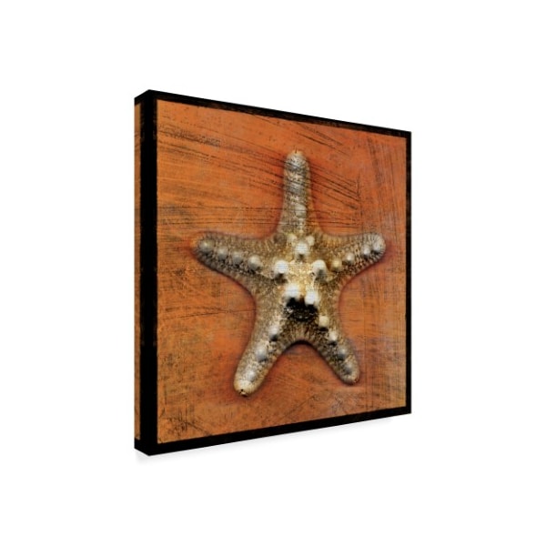 John W. Golden 'Armored Starfish' Canvas Art,14x14